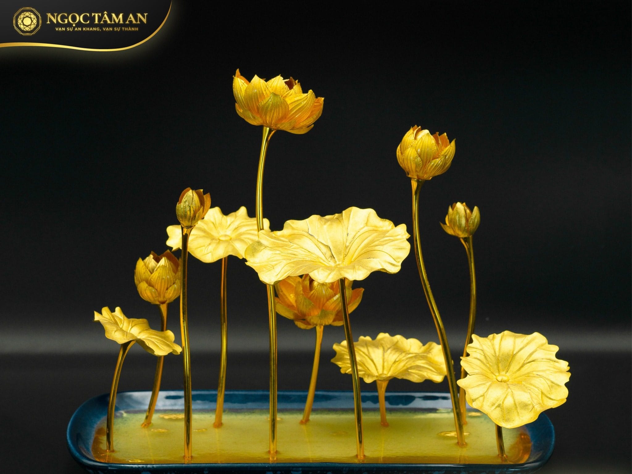 472001725 122130511742466828 3413932094657077068 n 1 edited