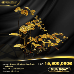 Hoa Lan Dát Vàng Trên Thân Gỗ (9 Nhánh)