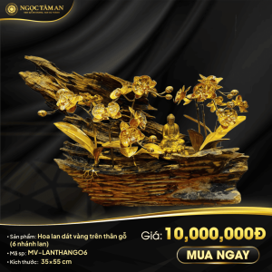 Hoa Lan Dát Vàng Trên Thân Gỗ (6 Nhánh)