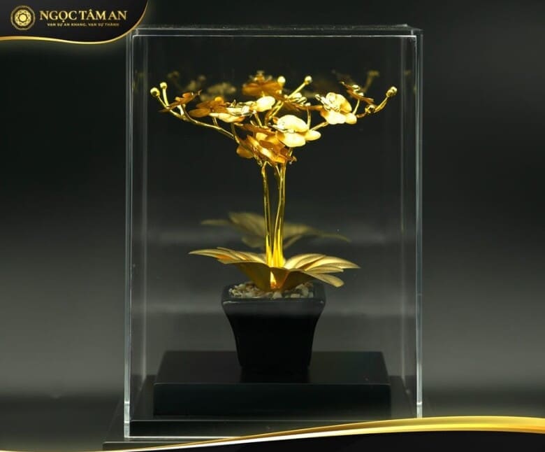 Cây lan tài lộc mạ vàng