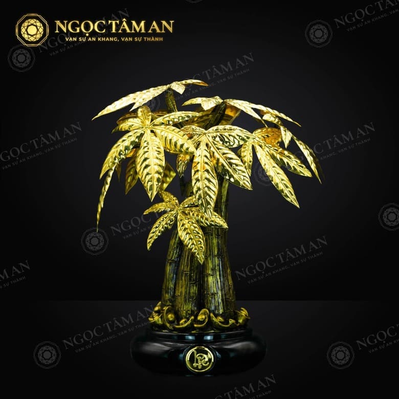 Chậu cây kim tiền để bàn