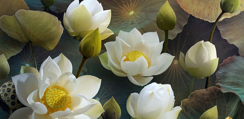 Phối màu tranh hài hòa