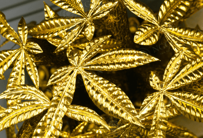 20240702 5 copy 1 edited 1 0b95f49a