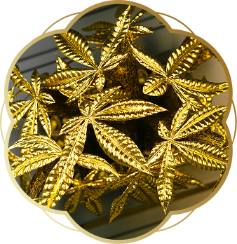 Ngoc Tam An 325c63db