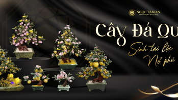 Cay da quy 1440x642 2 scaled a96135a2