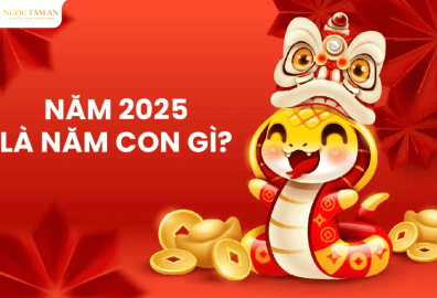 anh dai dien bai viet 1 aac62686