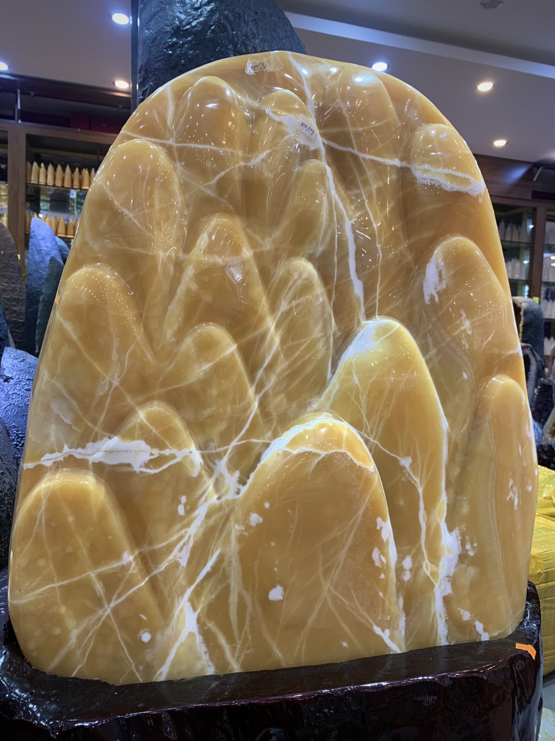 z5448804854638 fa8481f3afaffd10468dbb406f47601a scaled