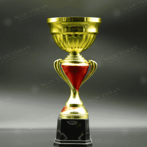 Mẫu cúp mạ vàng - 05