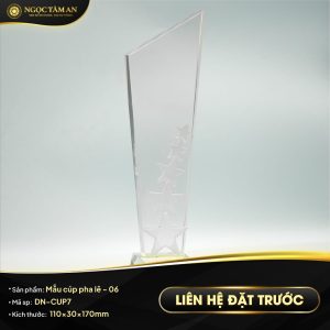 Mẫu cúp pha lê - 06