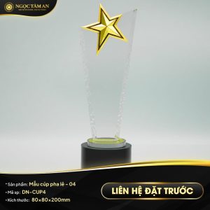 Mẫu cúp pha lê - 04