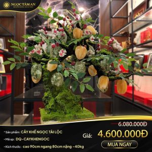 Cây Khế Ngọc tài lộc