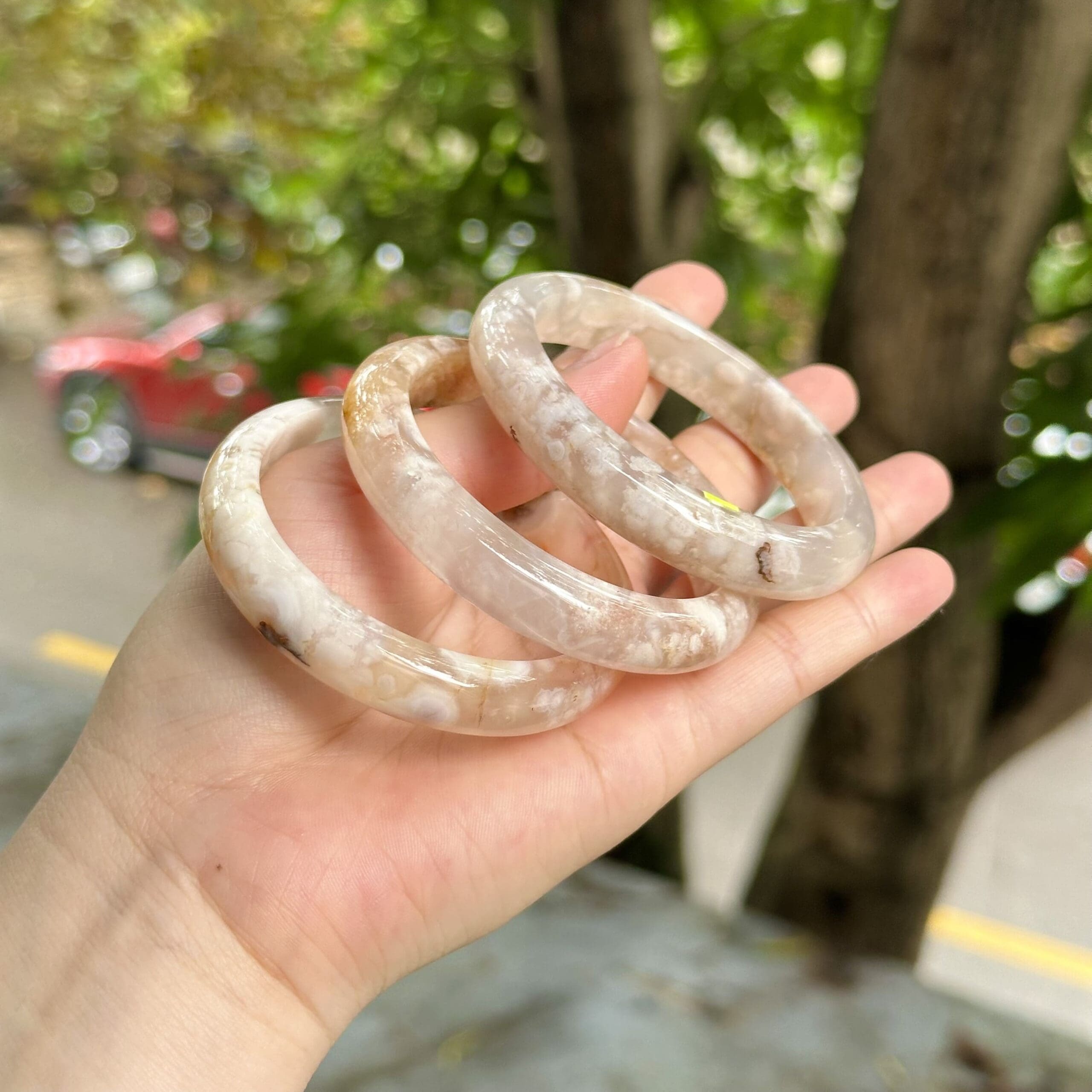 z5681136130040 a10d6e7adff3fdd1ae6b067e33377e51 scaled