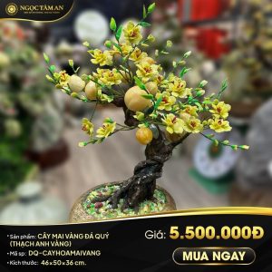 Cây mai vàng đá quý (Thạch anh vàng)