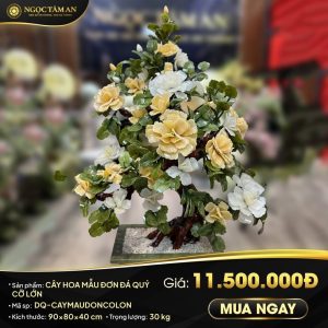 Cây Hoa mẫu đơn đá quý cỡ lớn