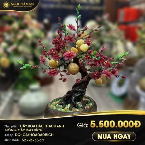 Cây Hoa Đào Thạch Anh Hồng (Cây Đào Bích)