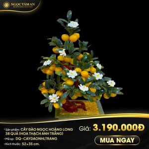 Cây đào Ngọc Hoàng Long 38 quả (có hoa thạch anh trắng)