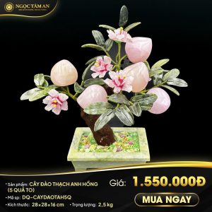 Cây đào Thạch anh hồng (5 quả to)