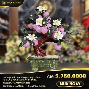 Cây đào đá Thạch anh hồng (18 Quả)