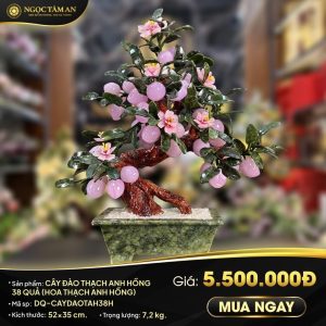 Cây đào đá thạch anh hồng 38 quả (kèm hoa thạch anh hồng)