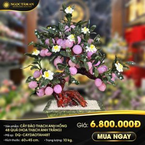 Cây đào đá Thạch anh hồng 48 quả (kèm hoa thạch anh Trắng)