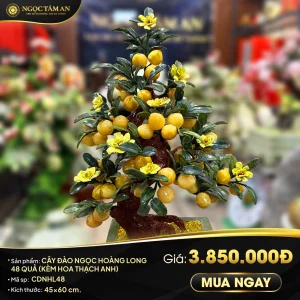 Cây đào Ngọc Hoàng Long 48 Quả (có hoa thạch anh)