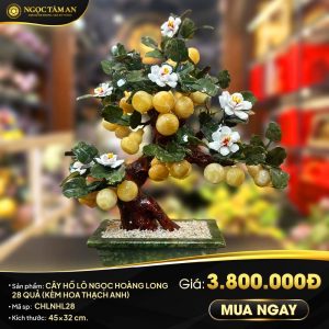 Cây Hồ lô ngọc Hoàng Long 28 quả  (hoa Thạch Anh)