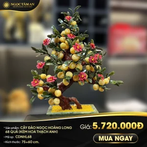 Cây đào ngọc Hoàng Long 68 quả (hoa Thạch Anh)