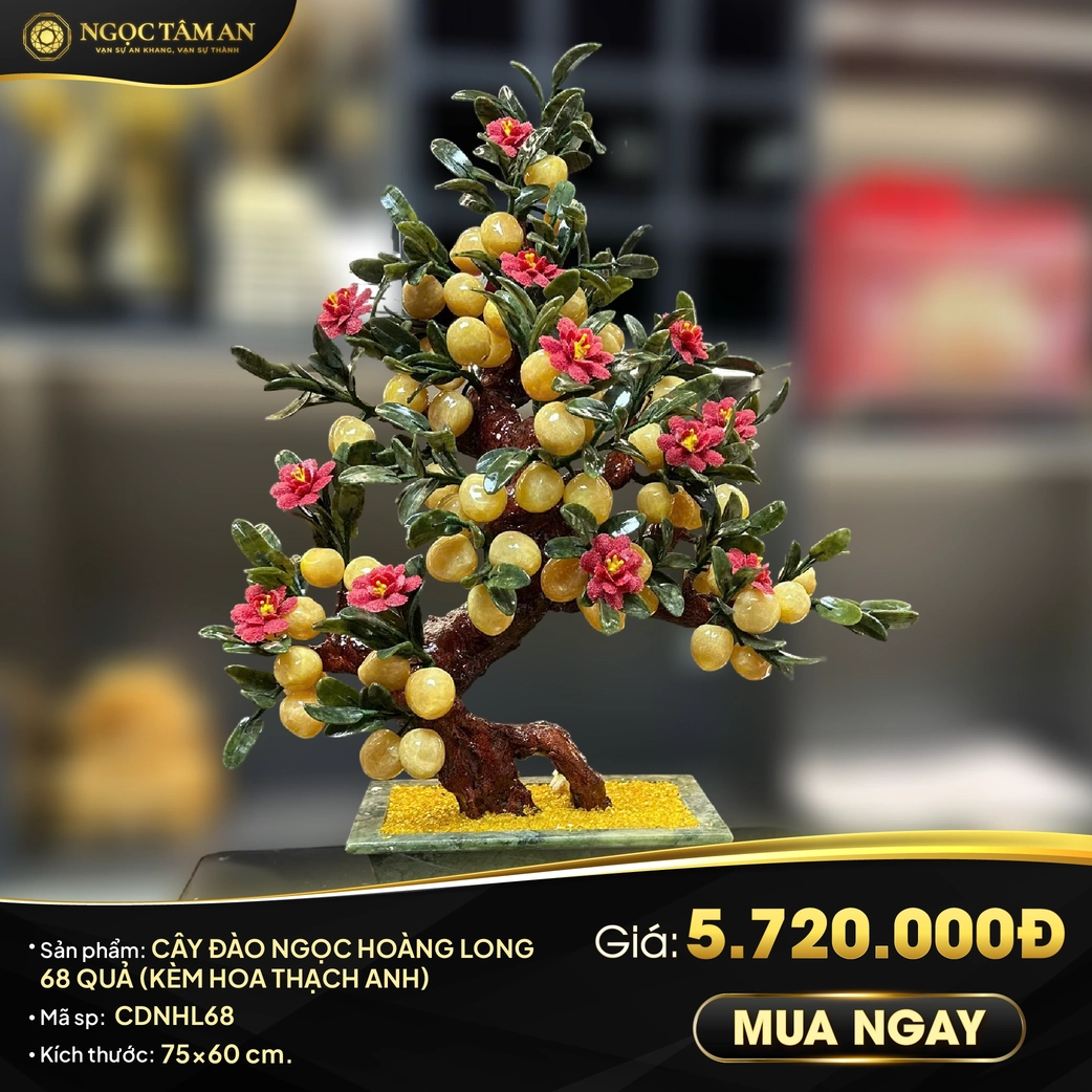 Frame niem yet cdnhl68 01