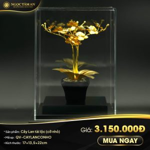 Cây Lan tài lộc mạ vàng (cỡ nhỏ)