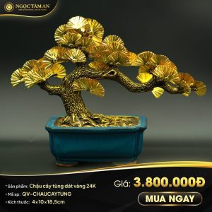 Chậu cây tùng dát vàng 24K