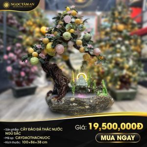 Cây Đào Thác Nước Ngũ Sắc