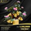 Cây Hồ Lô 18 Quả đá Ngọc Hoàng Long