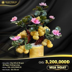 Cây Hồ Lô 18 Quả đá Ngọc Hoàng Long