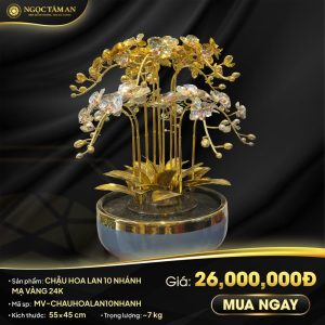 Chậu Hoa Lan 10 Nhánh Mạ vàng 24K
