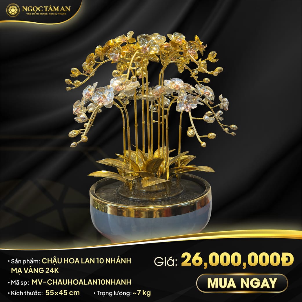 Chậu Hoa Lan 10 Nhánh Mạ vàng 24K