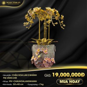 Chậu Hoa Lan 5 Nhánh Mạ vàng 24K