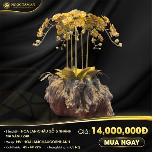 Hoa Lan Chậu Gỗ 5 Nhánh Mạ Vàng 24K