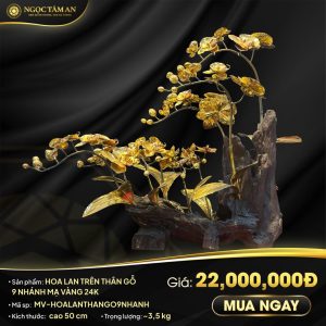Hoa Lan Trên Thân Gỗ 9 Nhánh Mạ Vàng 24K