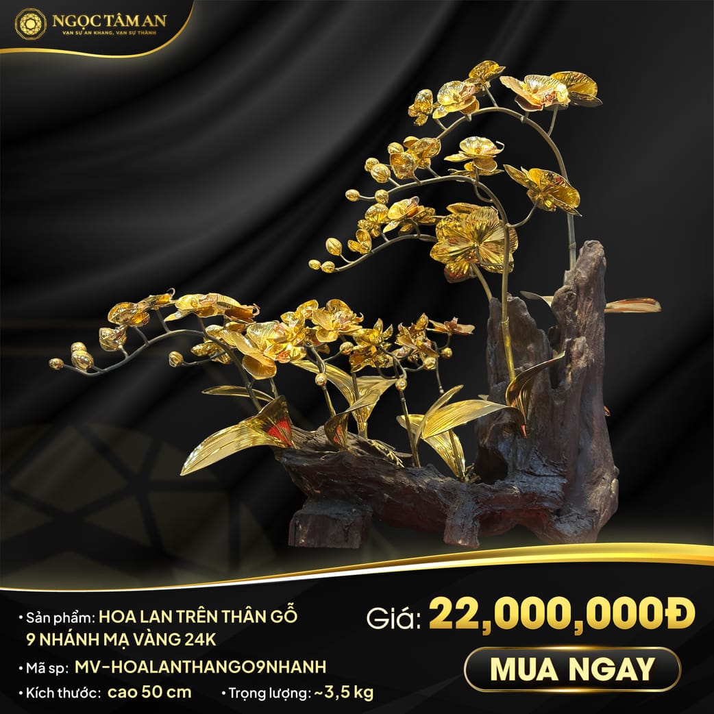 Hoa Lan Trên Thân Gỗ 9 Nhánh Mạ Vàng 24K