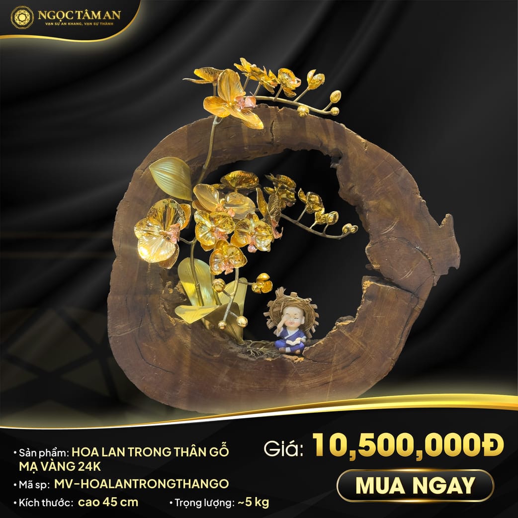 Hoa Lan Trong Thân Gỗ Mạ Vàng 24K