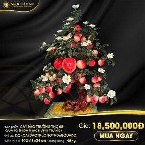 Cây đào trường thọ 68 quả to đỏ (hoa Thạch Anh Trắng)