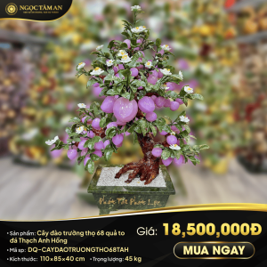 Cây đào trường thọ 68 quả to Thạch Anh Hồng