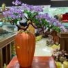 binh hoa thach anh tim