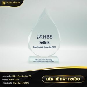 Mẫu cúp pha lê - 05