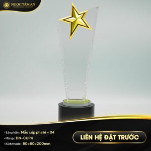 Mẫu cúp pha lê - 04