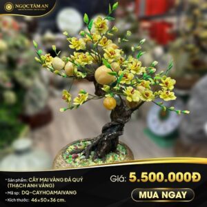 Cây mai vàng đá quý (Thạch anh vàng)