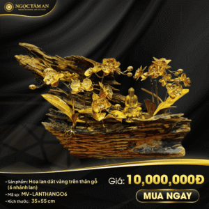 Hoa Lan Dát Vàng Trên Thân Gỗ (6 Nhánh)