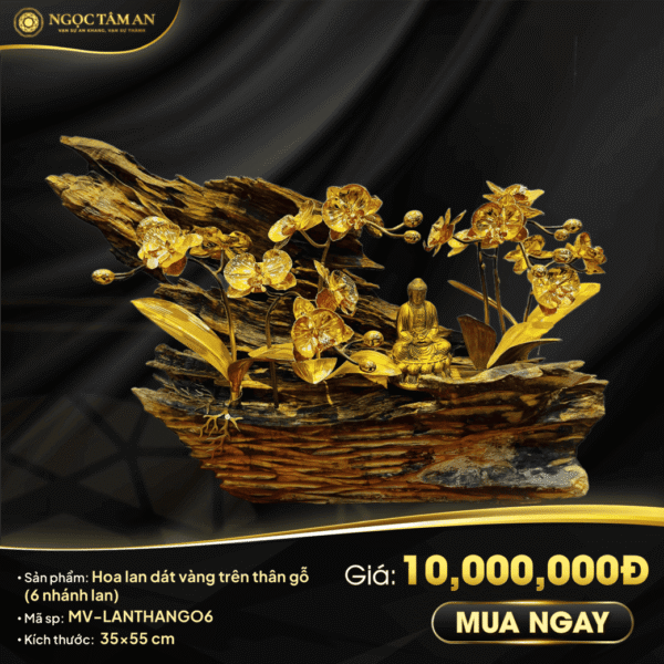 Hoa Lan Dát Vàng Trên Thân Gỗ (6 Nhánh)