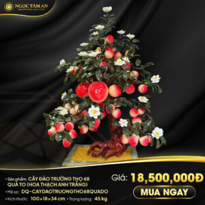 Cây đào trường thọ 68 quả to đỏ (hoa Thạch Anh Trắng)