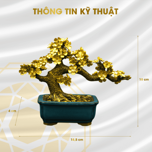 chau hoa mai 01